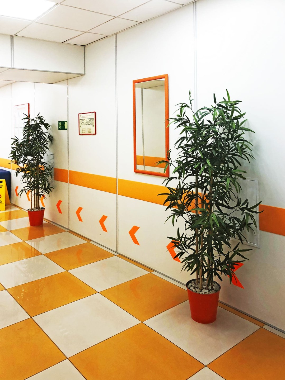 Панели для школ и детских садов